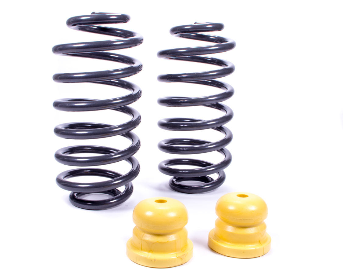 Suspension Spring Kit - 3 in Lowering - 2 Coil Springs - Silver Powder Coat - Rear - GM Trailblazer / Envoy 2002-07 - Pair