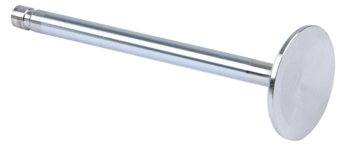 Engine & Accessories Valve - 1.600 in Head - 11/32 in Valve Stem - 5.065 in Long - Stainless - Small Block Chevy - Each