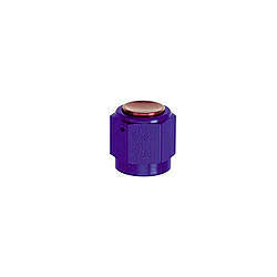 Fitting - Cap - 8 AN - Aluminum - Blue Anodized - Each