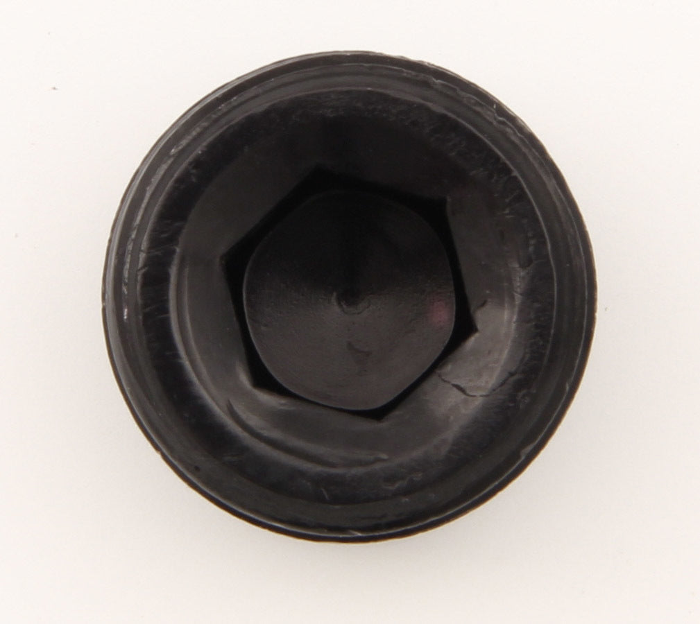 Fitting - Plug - 1/2 in NPT - Allen Head - Aluminum - Black Anodized - Each