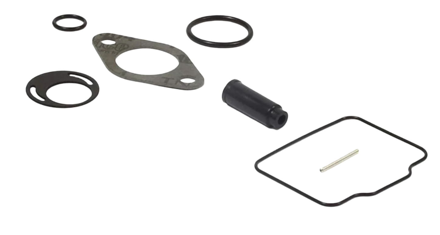 Carburetor Overhaul Kit for Briggs & Stratton LO206