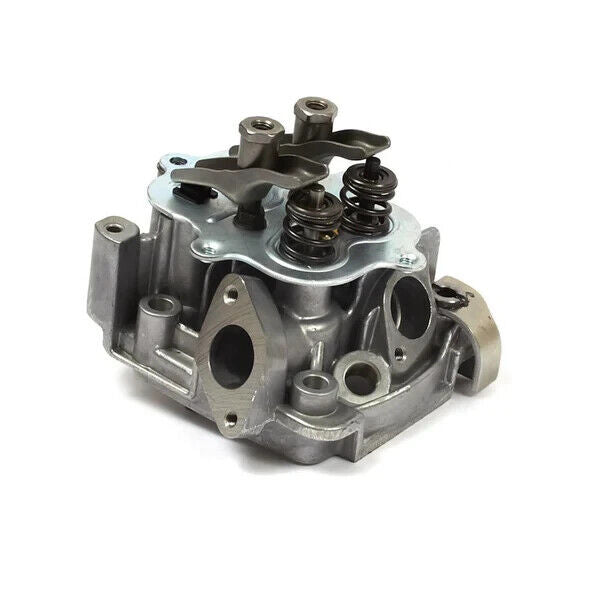 Cylinder Head Assembly for Briggs & Stratton LO206