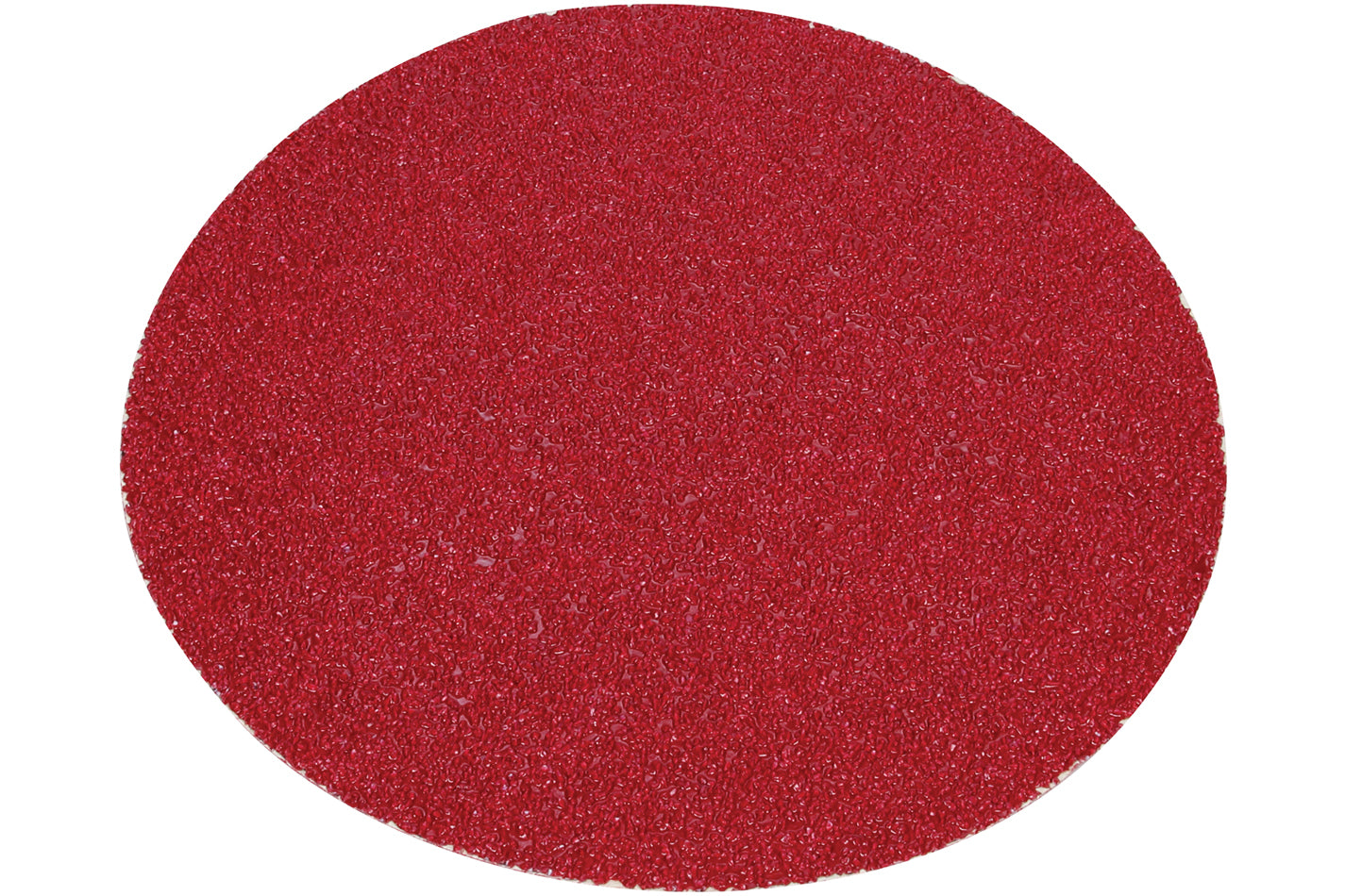 Sanding Disc - Rounded - 8 in Diameter - 24 Grit - Set of 5