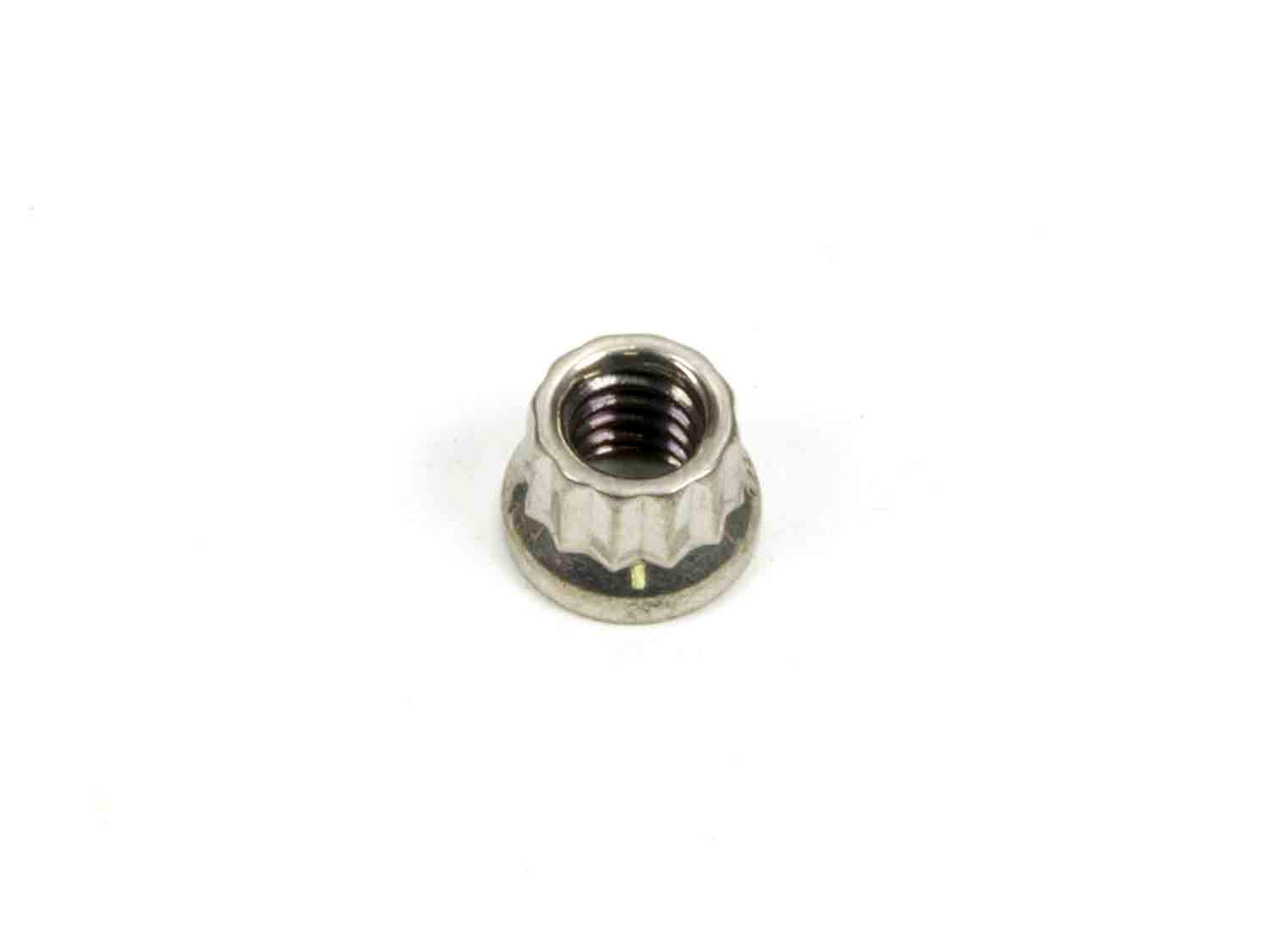Nut - 1/4-20 in Thread - 5/16 in 12 Point Head - Stainless - Polished - Universal - Each