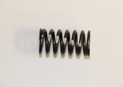 ZB&S VALVE SPRING REF# 35