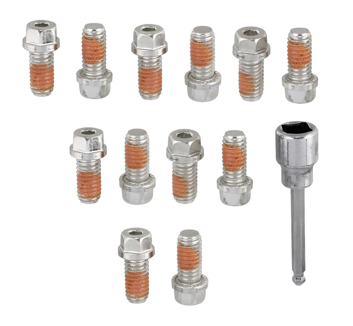 Header Bolt - Locking - 3/8-16 in Thread - 0.75 in Long - Hex Head - Stainless - Various Applications - Set of 12