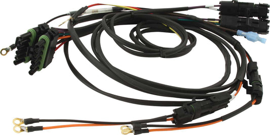 Ignition Wiring Harness - Weatherpack - Dual Ignition Box / Quickcar Switch Panels - Each