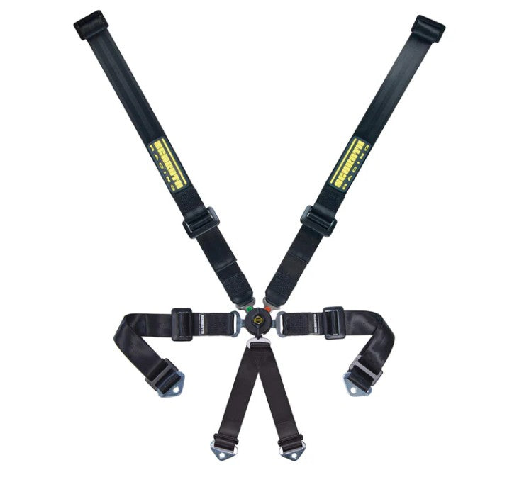 SFI 16.1 Profi 2x2