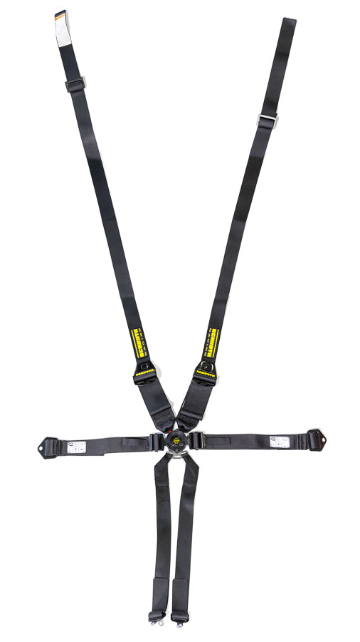 Harness - Profi II - 6 Point - Camlock - SFI 16.5 - Pull Down Adjust - Wrap Around - Individual Harness - HANS Ready - Black - Kit