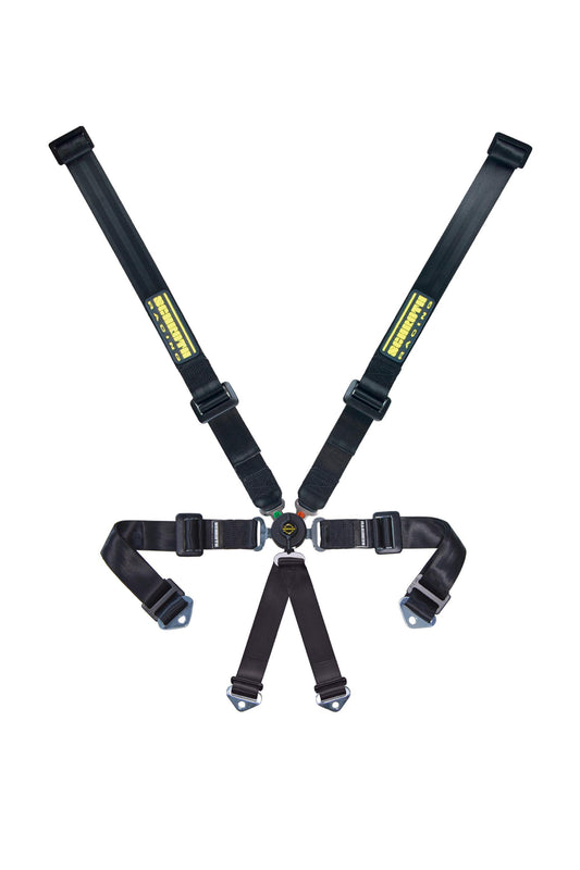 Harness - Profi 2x2 - 6 Point - Camlock - SFI 16.1 - Pull Down Adjust - Wrap Around - Individual Harness - HANS Ready - Black - Kit