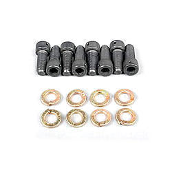 Brake Rotor Bolt - 5/16-24 in Thread - 0.75 in Long - Allen Head - Grade 8 - Steel - Natural - Threaded Rotors on Through Hole Hats - Set of 8